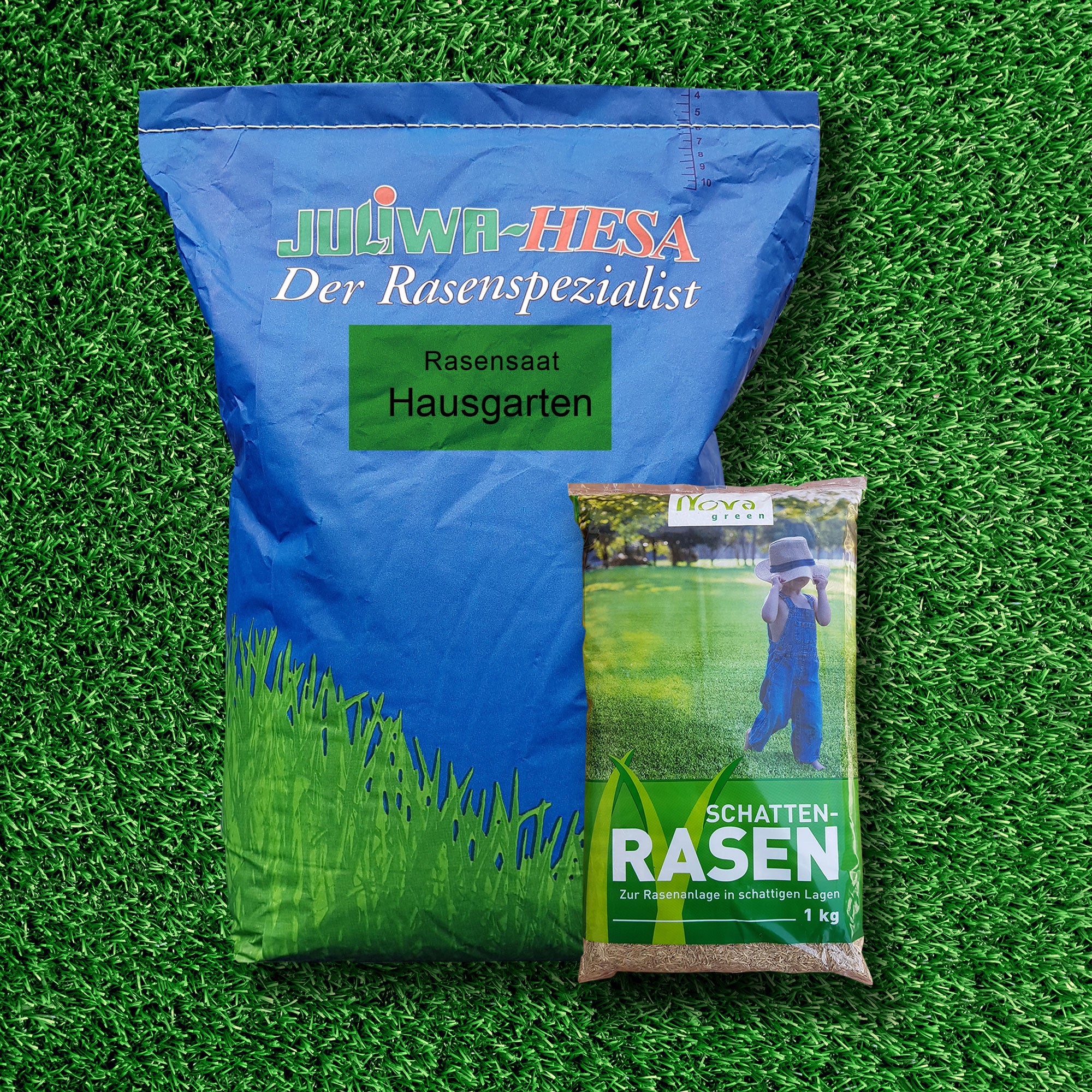 Rasen-Saaten