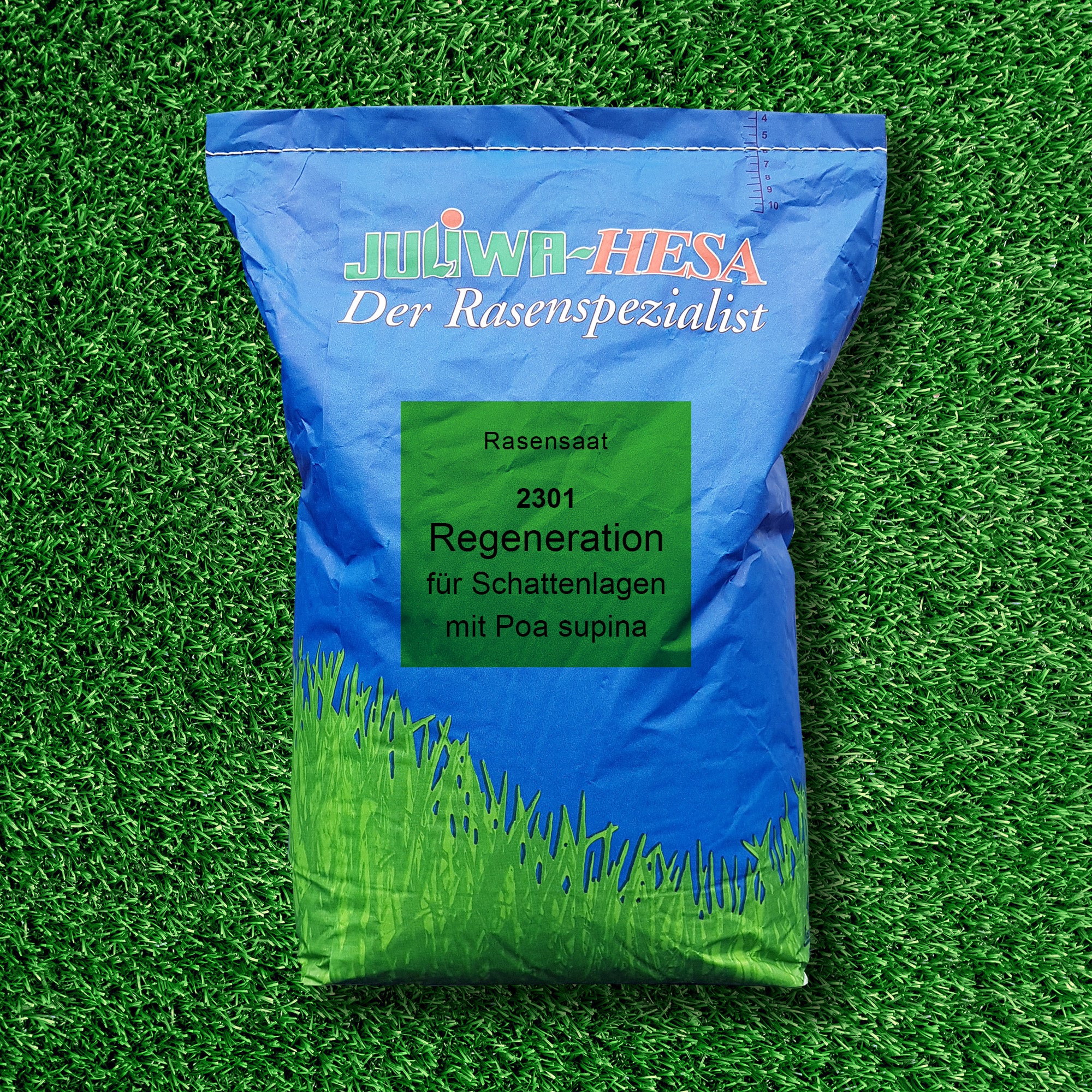 2301 Regeneration Schattenlagen mit Poa supina