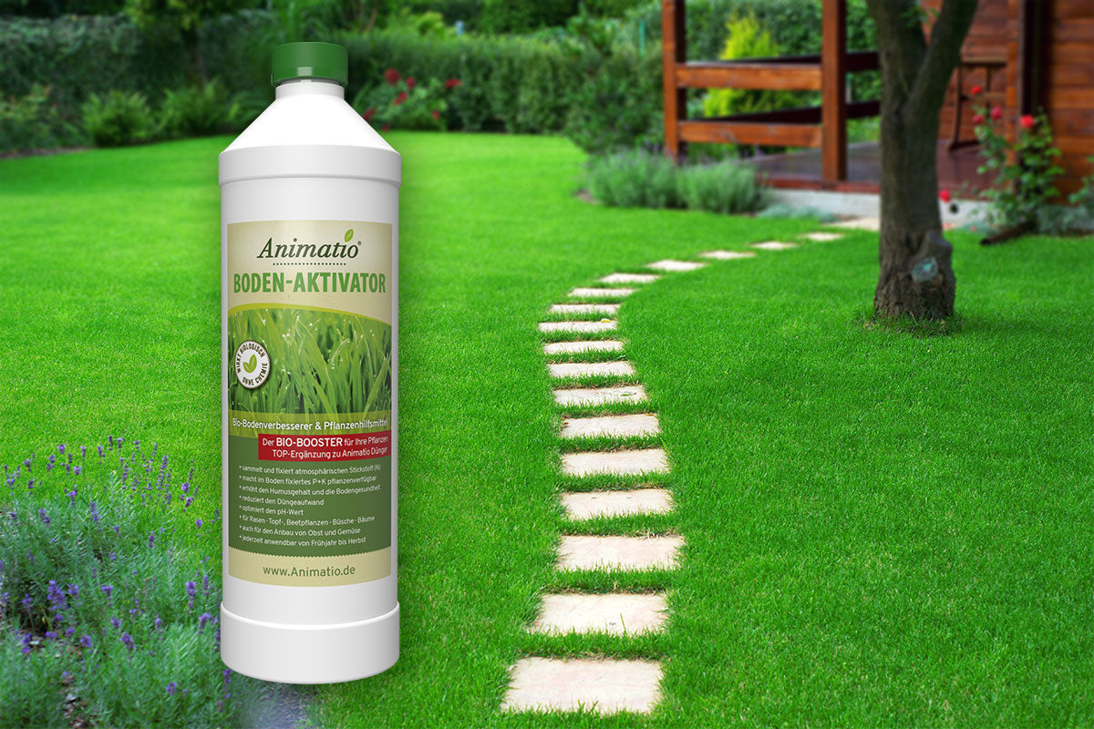 Animatio Bodenaktivator - mit innovativer Bakterien-Technologie Boden optimieren