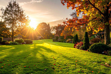 Rasen düngen im Spätsommer und Herbst: Was ich als Greenkeeper empfehle