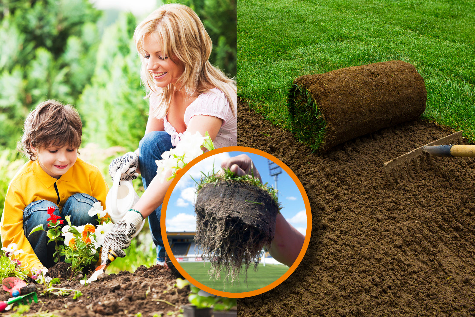 Animatio® Stärkungsdünger: Symbiose für starke, gesunde Pflanzen