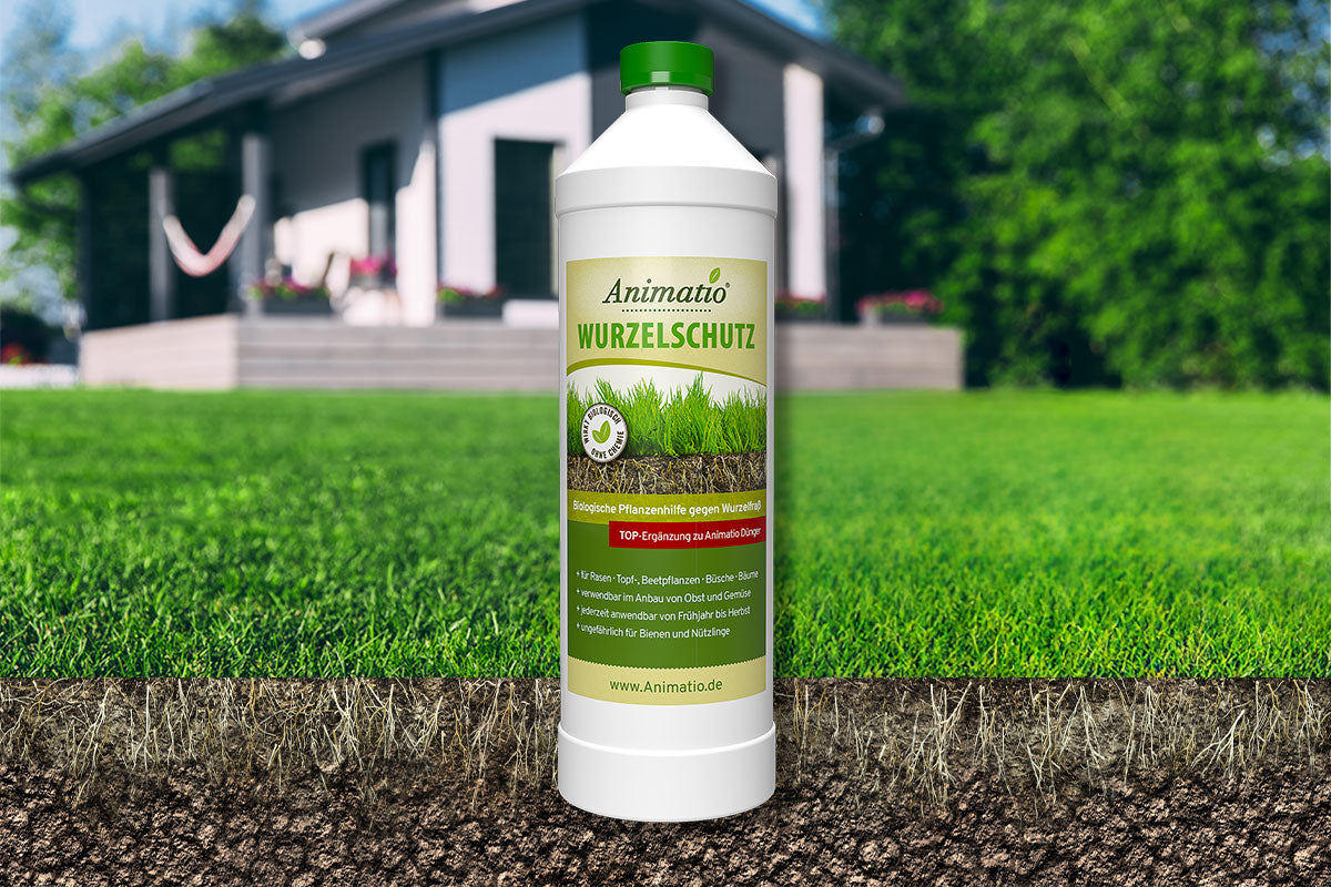 Animatio Wurzelschutz - 1 Liter Konzentrat