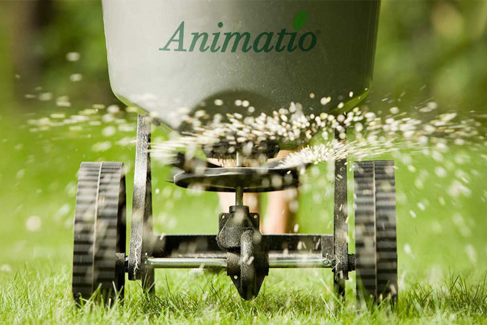 Sommerdüngung? Ja, bitte!  Warum Ihr Rasen gerade im Sommer Nährstoffe braucht