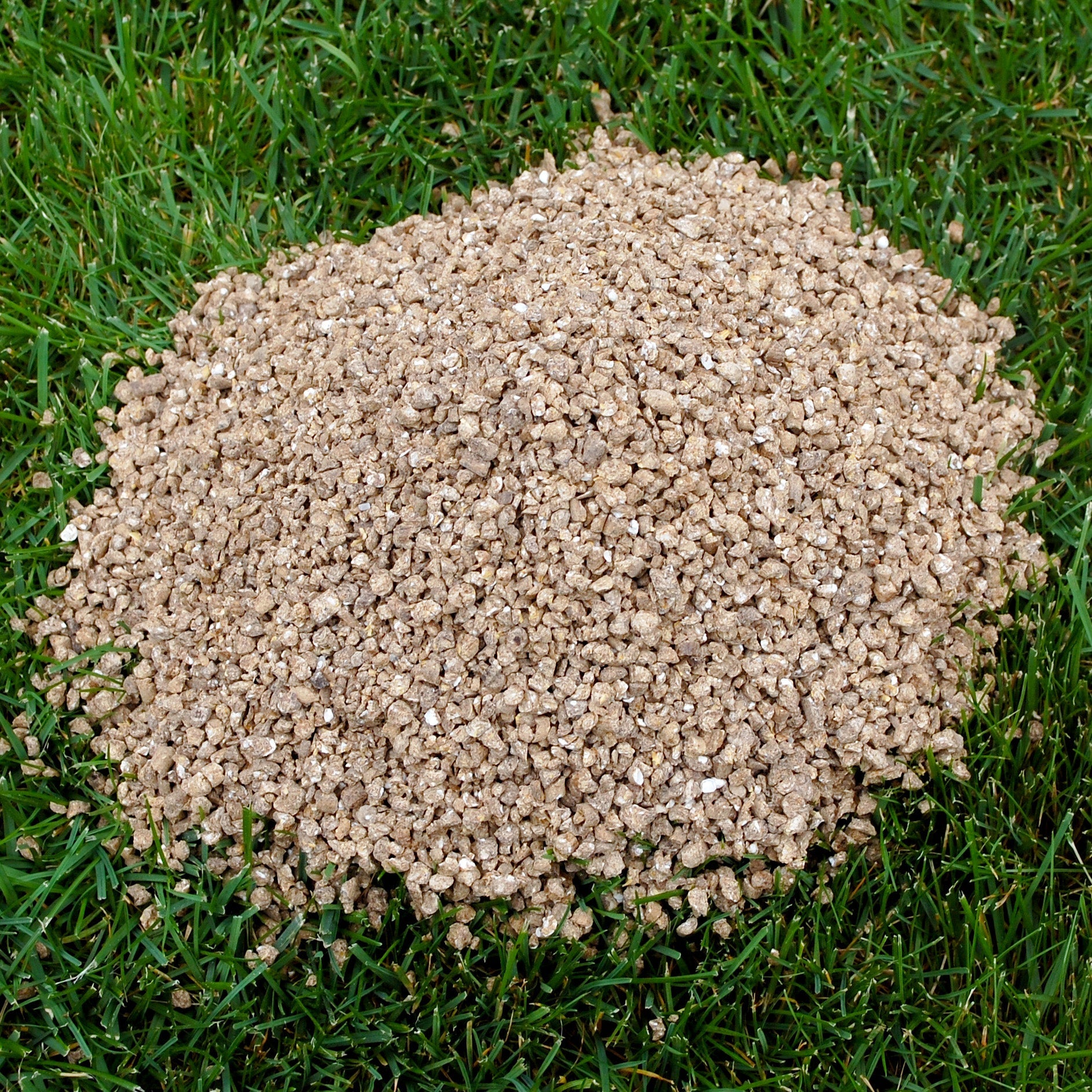 Kombi-Pack: Animatio Blitz Tellerstreuer</br> + 10 kg Profi Rasendünger