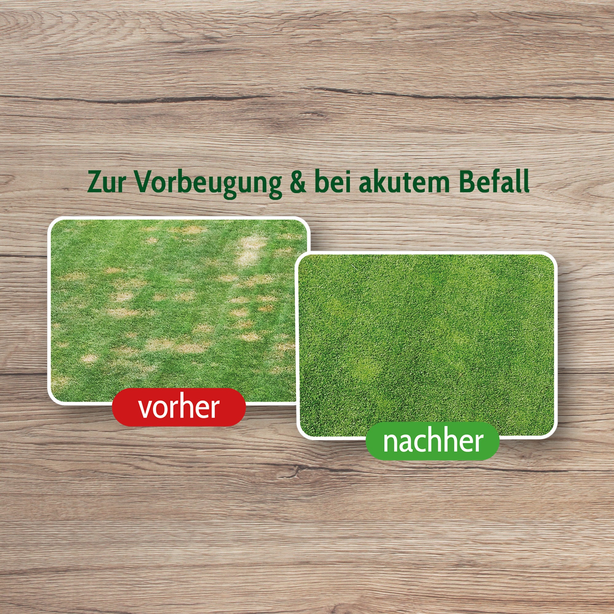 Kombipack Animatio Sprayer + 1 l Wurzelschutz