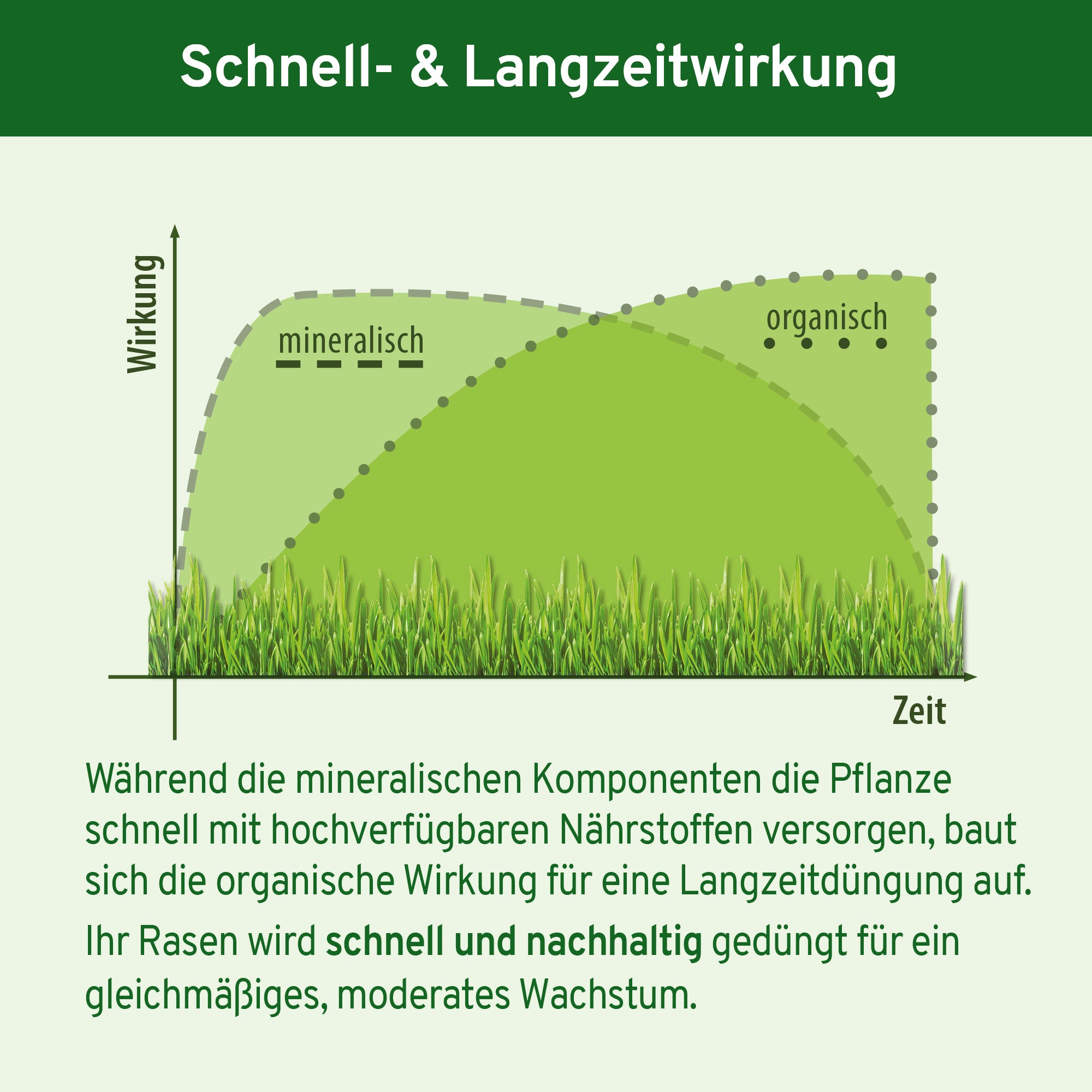 Animatio® Profi-Rasendünger
